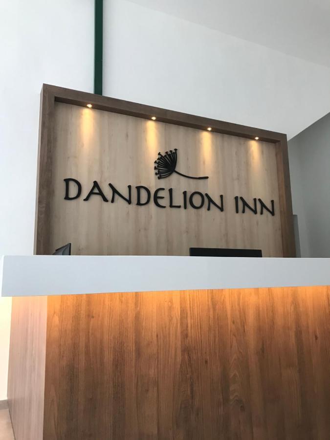 新邦波赖 蒲公英旅馆酒店 外观 照片